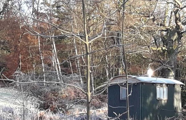Cosy Woodland off Grid Shepherds Hut - Rowan - Foto 21