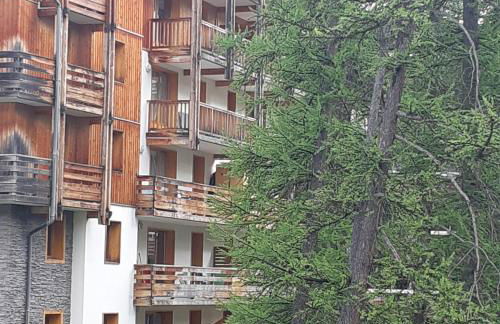 Spacieux et Fonctionnel dans Ecrin des Neiges - Foto 19