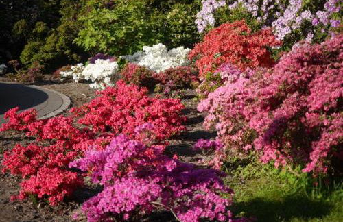 Crosta Brava - Foto 44