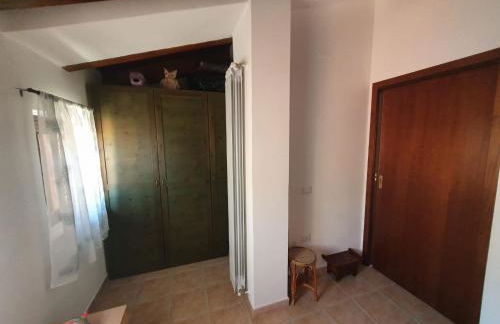 Gabbiano Jonathan - Foto 19