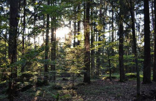 Naturchalets 7 Sentidos - Foto 46