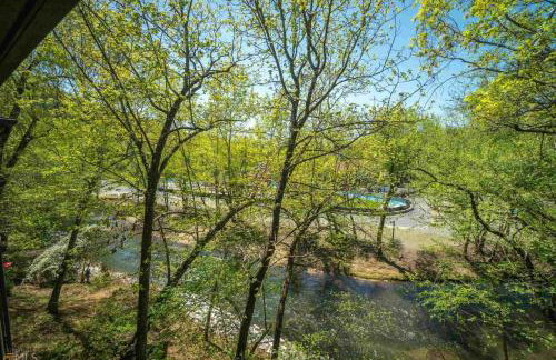 Riverfront home within walking distance of Helen - Foto 32