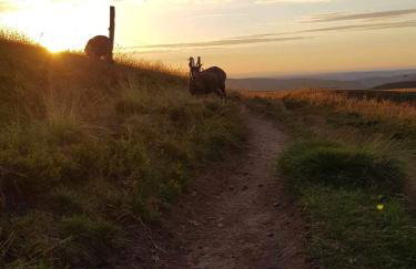 Cocon au cœur des Vosges - Foto 31