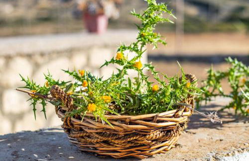 Ilias Cottage - Foto 13