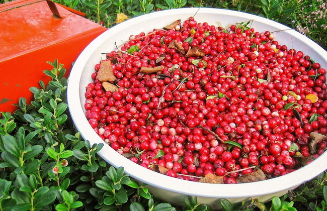 8 Person Holiday Home in Lima-by Traum - Foto 18