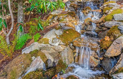 Sapphire Elegance - Foto 53