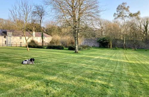 Courtyard Cottage with hot tub and walled garden - Foto 13