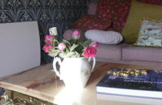 Les Chanterelles La souris des champs - Foto 9