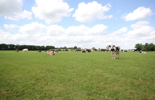 Apartment in Netherlands With Scenic Meadows - Foto 21