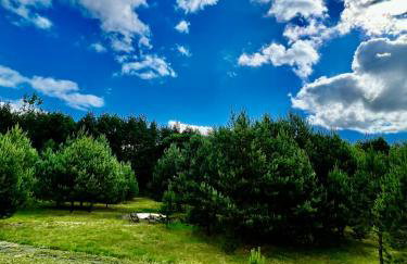 Rezydencja Osiek Cała Willa dla Ciebie i Rodziny - Foto 26