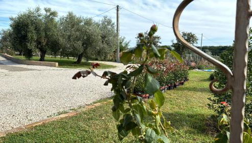 Casa Vacanze Cerreto 1 - Foto 3