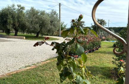 Casa Vacanze Cerreto 1 - Foto 3