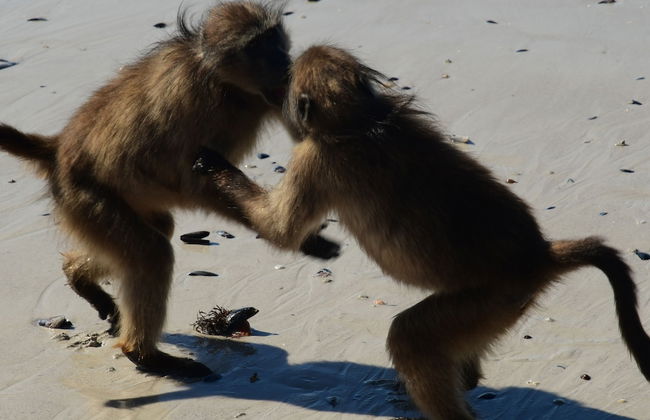 Bradclin @ York Place - Foto 35