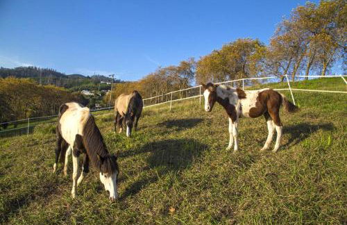 Villa Eve Palheiro Village by Holiday Rental Madeira - Foto 77