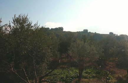 Montevenere 83 - Foto 48