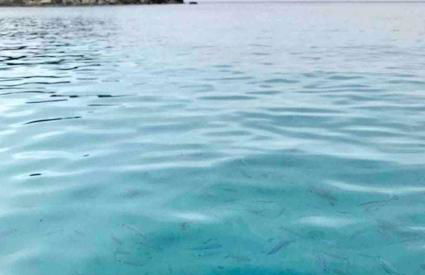 Domus Sol Aria - Foto 65