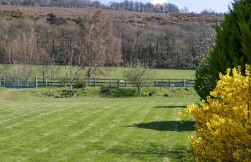 The Cottage at Rocklands Farm - Foto 21