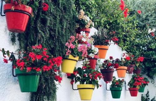 Casa de Dolores - Photo 30