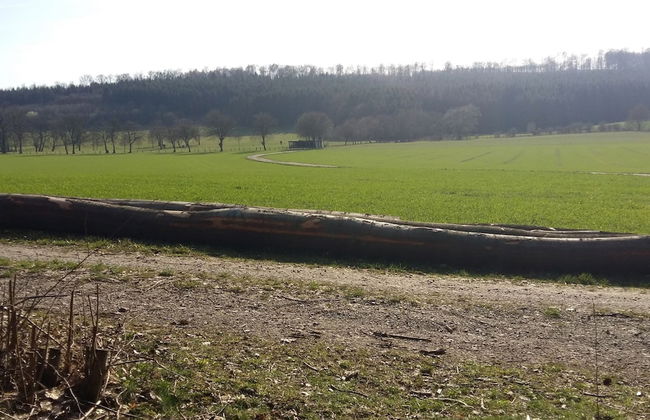 Apartment in Merlsheim mit Garten - Foto 29