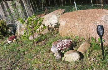 Domek Zielenina - Foto 33