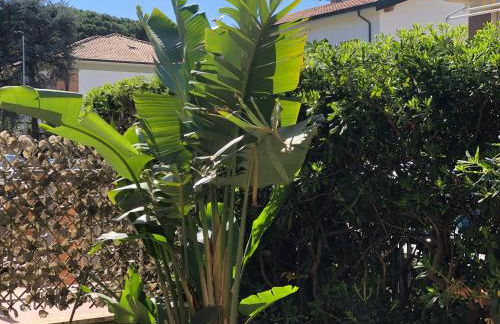 La Pineta Casa Vacanze - Foto 10