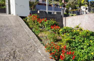 Panoramic Ocean View House - Foto 13