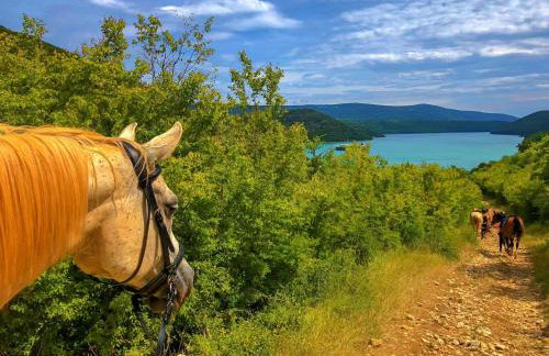 Apartment Ana by Interhome - Foto 107