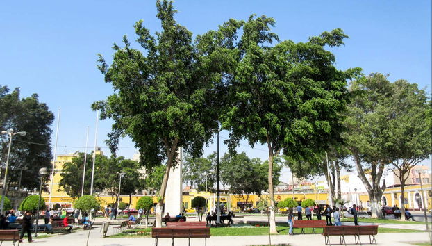 Ica & Huacachina Oasis Tour - Photo 4, Plaza de Armas in Ica