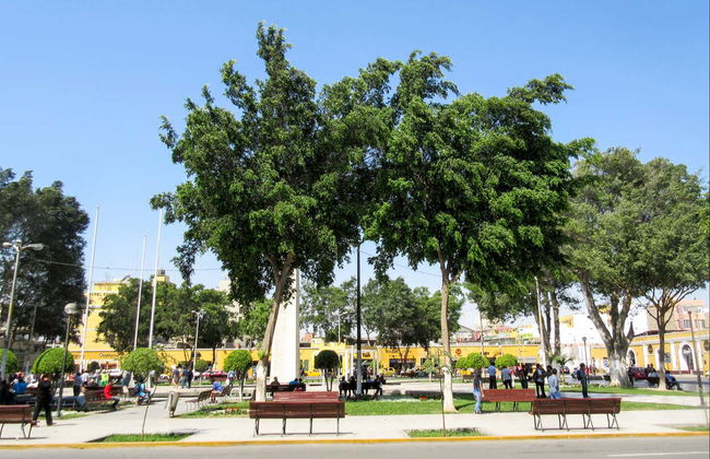 Tour di Ica e della laguna di Huacachina - Foto 4