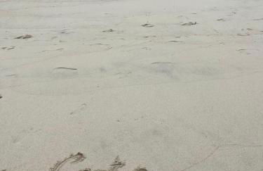 COSTA MARIÑA Fabuloso apartamento en la costa - Foto 16