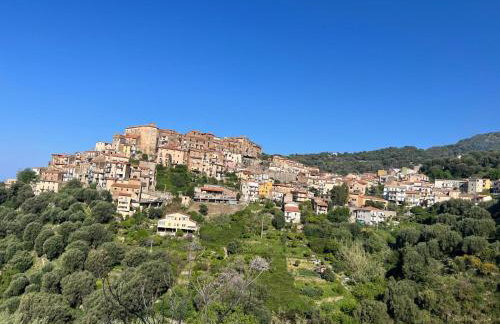 Casa Beluga - Foto 30