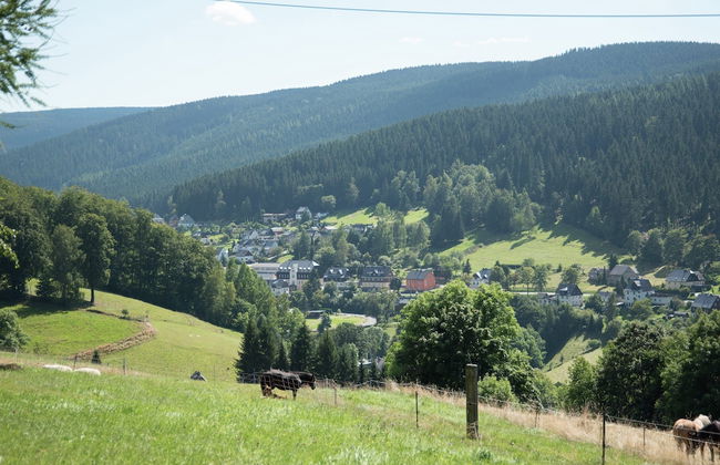 Cozy Ore Mountain Chalet - Foto 39