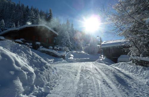 Chalet Jonquille - Foto 27