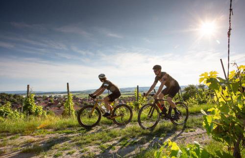 Top Roof Tiny ROOM - Tinylodge Ellertshäuser See - Foto 39