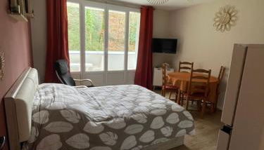 Studio meublé 26m² refait à neuf - Foto 2