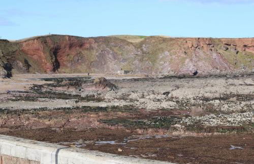 Bridle Cottage - Foto 38