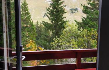 Appartement Manigod/La clusaz - Photo 19