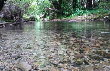 Alojamientos Sierra de Cádiz Benamahoma - Foto 41