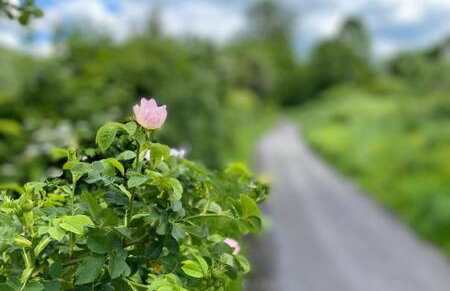 Taff Valley Heartwarming Cottage In Aberafan Merthyr Tydfil By STAE-Homes - Foto 11