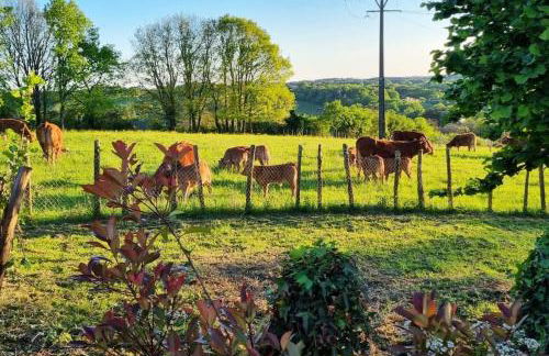Corps de ferme Gîte Lo Pomier - Foto 31