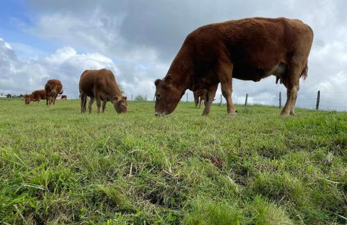 Mirador de Canales - Photo 24