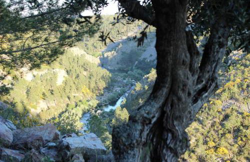 O Palheiro - Vista Panorâmica e Jacuzzi - Foto 62