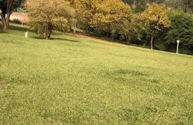 Do Sítio Tinoca - Foto 21