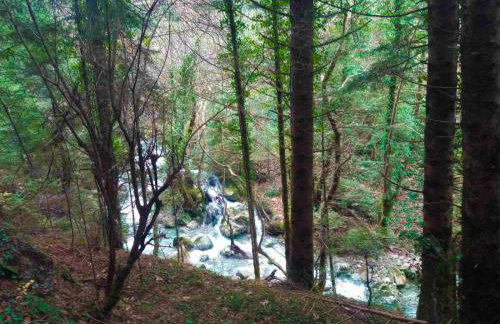 το Πέτρινο της Στέλλας - Foto 30