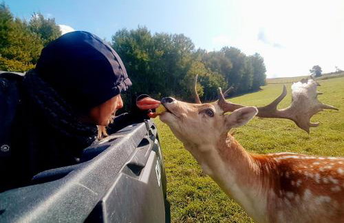 Domek Kozacki - Foto 19