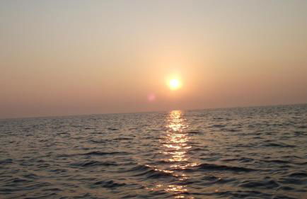 Vecchio Ulivo - Foto 30