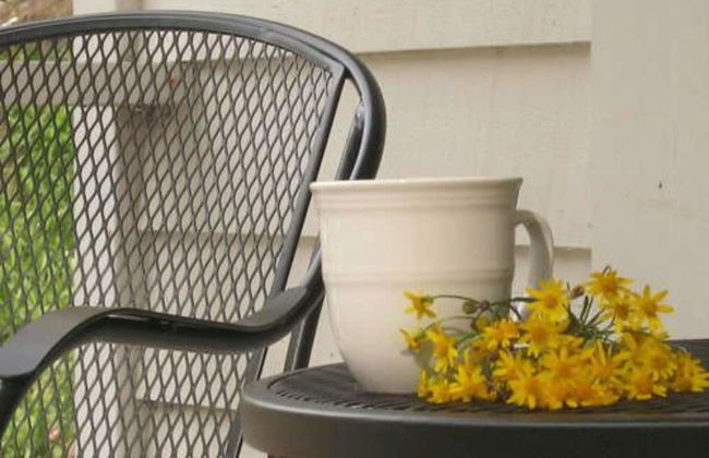 The Cabins at Healing Springs - Foto 46