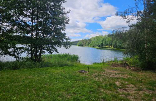 Leśne Wspomnienia - Foto 34