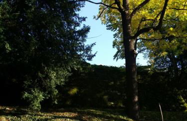 L'Aristoloche - Foto 26