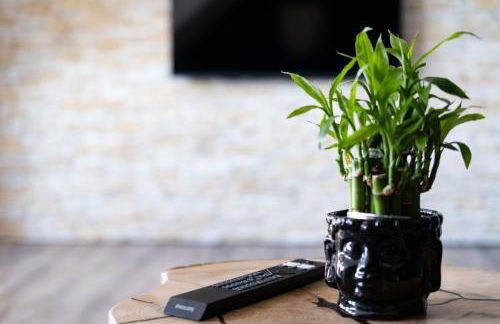 Nature Terminal Apartment - Photo 8